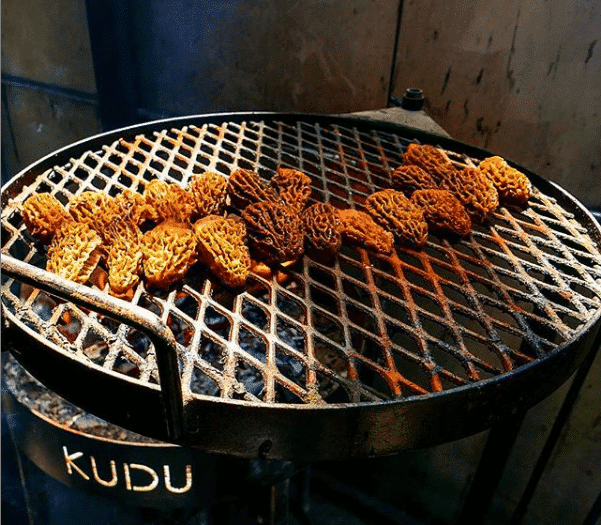 KUDU Grilled Morel Mushrooms