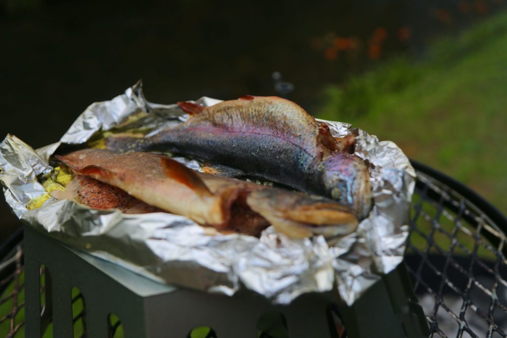 smoked trout